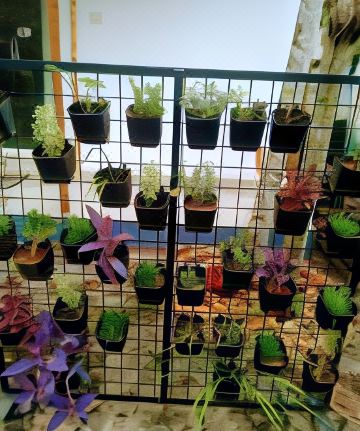 Nettle Trees Farm Stay Hotel Overview