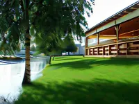 Amstel Hattyú Panzió -Érintésmentes bejelentkezés