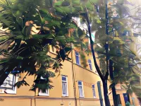 City Comfort Hotel on Arbatskaya Hotels near The Building of the Male Commercial School named after Tsarevich Alexei