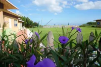 Ocean Front Paradise Resort Hotels in Indialantic