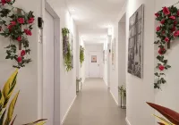 Aju Hillel 14
