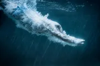 The Blue Hotel Bondi Hotels in Bondi Beach