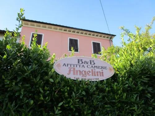 Angelini