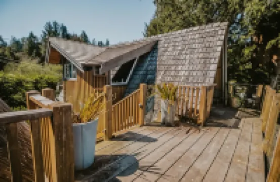 The Shoreline Tofino