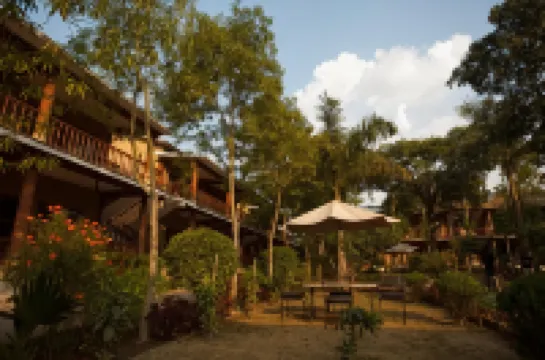 Jungle Safari Lodge- Serenity in the Wild