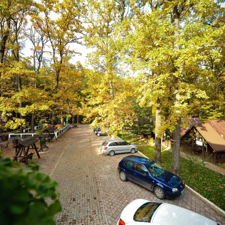 Hotel Cornul Vanatorului