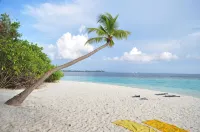 Summer Villa Guest House Hôtels à : Maafushi