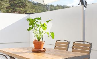 Private Emotional Stay Gangneungchae