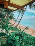 ShakaBrah beach hostel - Ocean View