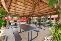 Super 8 by Wyndham, Florida City/Homestead/Everglades Hotels in Homestead