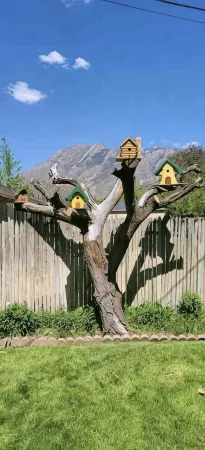 Salt Lake City Cottonwood Heights Apt. 3 bed 1 Bath Great Ski Spot Sleeps 6