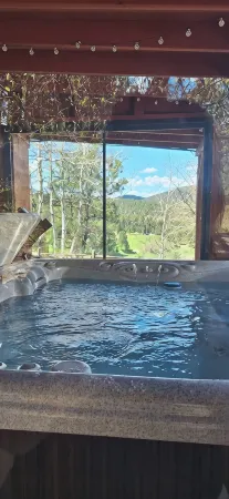 Cliffside Cabin Amongst Trees, Serene w/ Views.