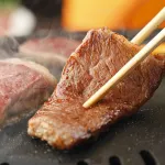 Yumeoi-so Hotels in Aso