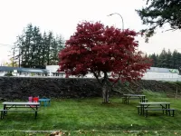 Mountain View Hope Motel Hotels in Hope