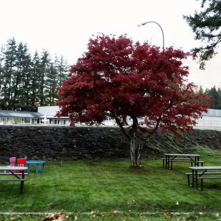 Mountain View Hope Motel