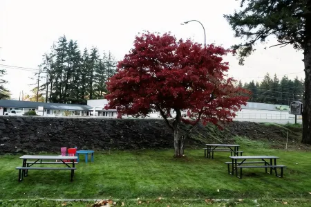 Mountain View Hope Motel