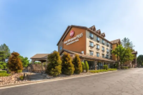 เบสท์เวสเทิร์นพลัส คอตตอนทรีอินน์ โรงแรมใน