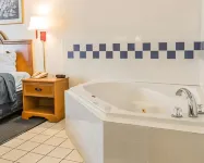 Quality Inn I-94 near Wings Stadium - Hot Tub