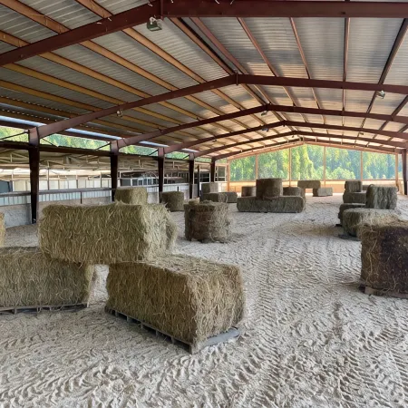 Lovely Farm Cabin Experience