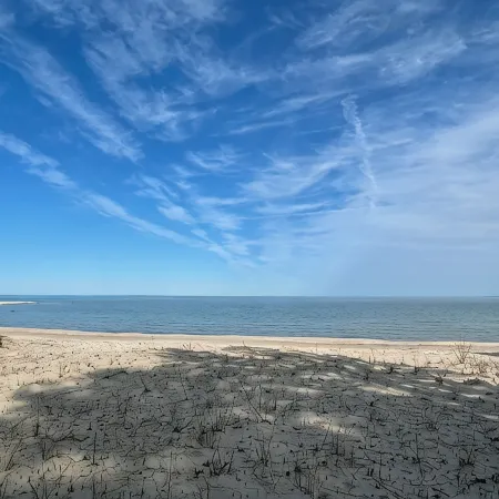 Island Getaway! Nestled in the woods with easy access to sandy beach