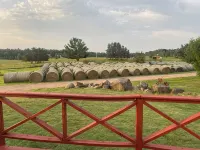 Charming & Cozy Spacious Farmhouse with Beautiful Views & Near Lakes and Trails! - 3-Star