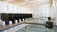 Hotel Monterey Sendai - Hot Springs