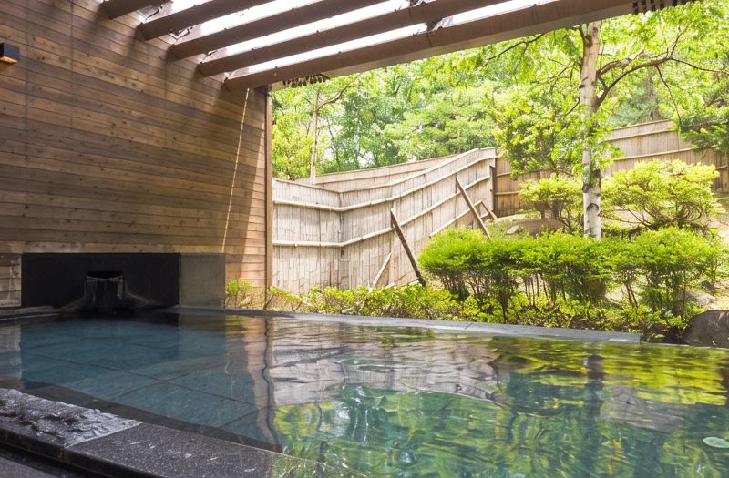 Hakuba Tokyu Hotel photo 3