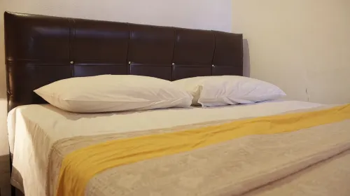 أيفادا كاري آن انسيون