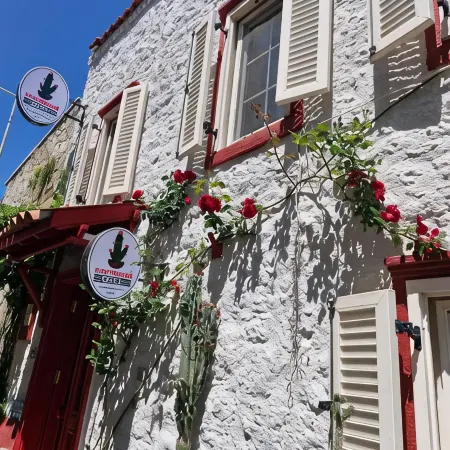 Kaktüshan Otel