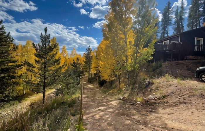 Aspen Glow Cabin - a charming 2-bedroom cabin with mountain views & wood stove