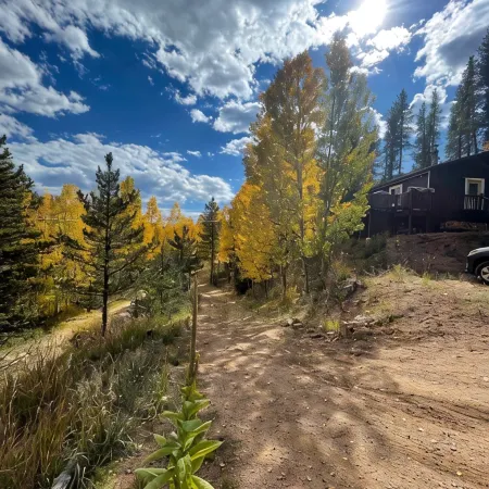 Aspen Glow Cabin - a charming 2-bedroom cabin with mountain views & wood stove