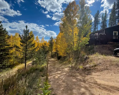 Aspen Glow Cabin - a charming 2-bedroom cabin with mountain views & wood stove Hotels in Bailey