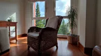 Charming, with views, comfortable and centrally located. Close to the river and the National Park. - Homestays