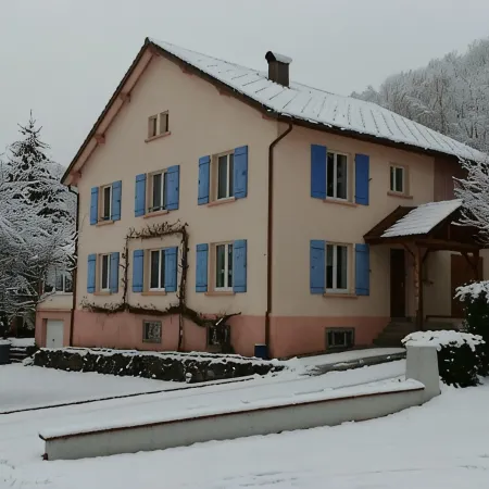 GITE DES FLOCONS A LA BRESSE UP TO 12 PEOPLE