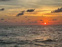 Magical Suite:  Pool, Sauna, AC, Wi-Fi and More in Awesome Quite Venice-Florida - Apartments