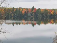 Firefly Cottage Hotels in Oscoda County