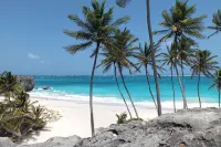 Delightful garden cottage, realistically priced, near to Gibbs / Mullins beaches - homestay