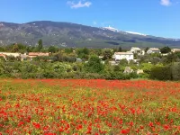 Charming 3 CH house in the countryside. Panoramic view of the Ventoux Hotels in Bedoin