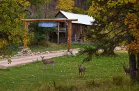 The Miner's Cabin - Hytter