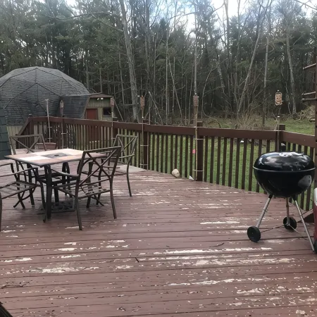Honey dome Hideout Unique cabin sitting on 5 acres in northern Michigan