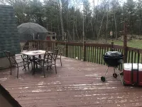 Honey dome Hideout Unique cabin sitting on 5 acres in northern Michigan