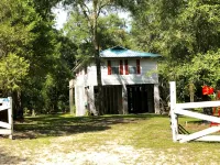 Suwannee River Retreat with Private Dock, Free Kayaks, and Fire Pit Hotels in Suwannee County