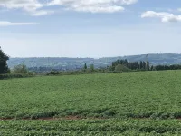 Lovely cabin with country views in popular Somerset village. - 홈스테이