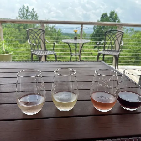 Nature getaway; beautiful Mountain Views, close to rivers, breweries & wineries.