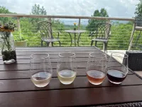 Nature getaway; beautiful Mountain Views, close to rivers, breweries & wineries.