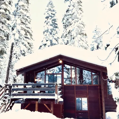 Luxe Tahoe Cabin - Midcentury Modern CLOSE to Lake, Palisades, Edge of Forest