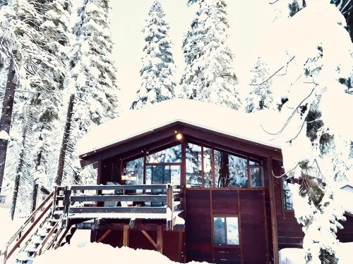 Luxe Tahoe Cabin - Midcentury Modern CLOSE to Lake, Palisades, Edge of Forest - シャレー