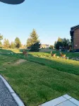 Modern, pet-friendly mountain house! - 3 stjerner