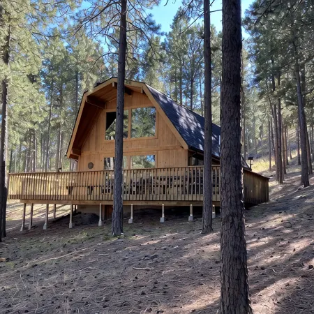 Golden Summers Cabin WIFI, Close to Lake Pactola