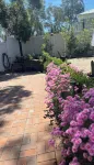 Walk to Everything, Family Getaway - Wifi